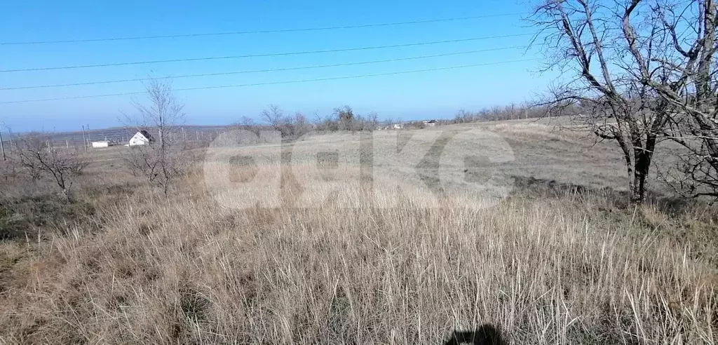 Участок в Волгоградская область, Городищенский район, Царицынское ... - Фото 1