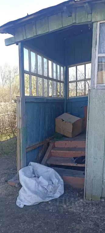 Помещение свободного назначения в Алтайский край, Алтайский район, с. ... - Фото 2