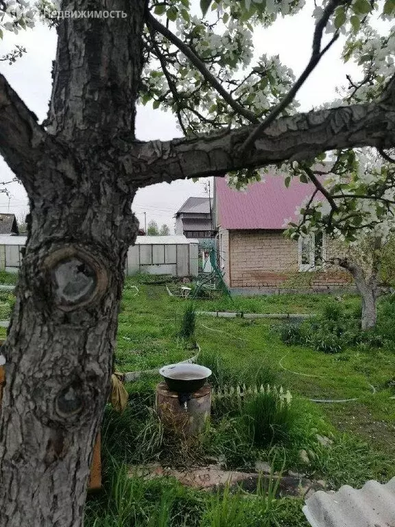 Дом в Челябинская область, Чебаркуль (20 м) - Фото 0