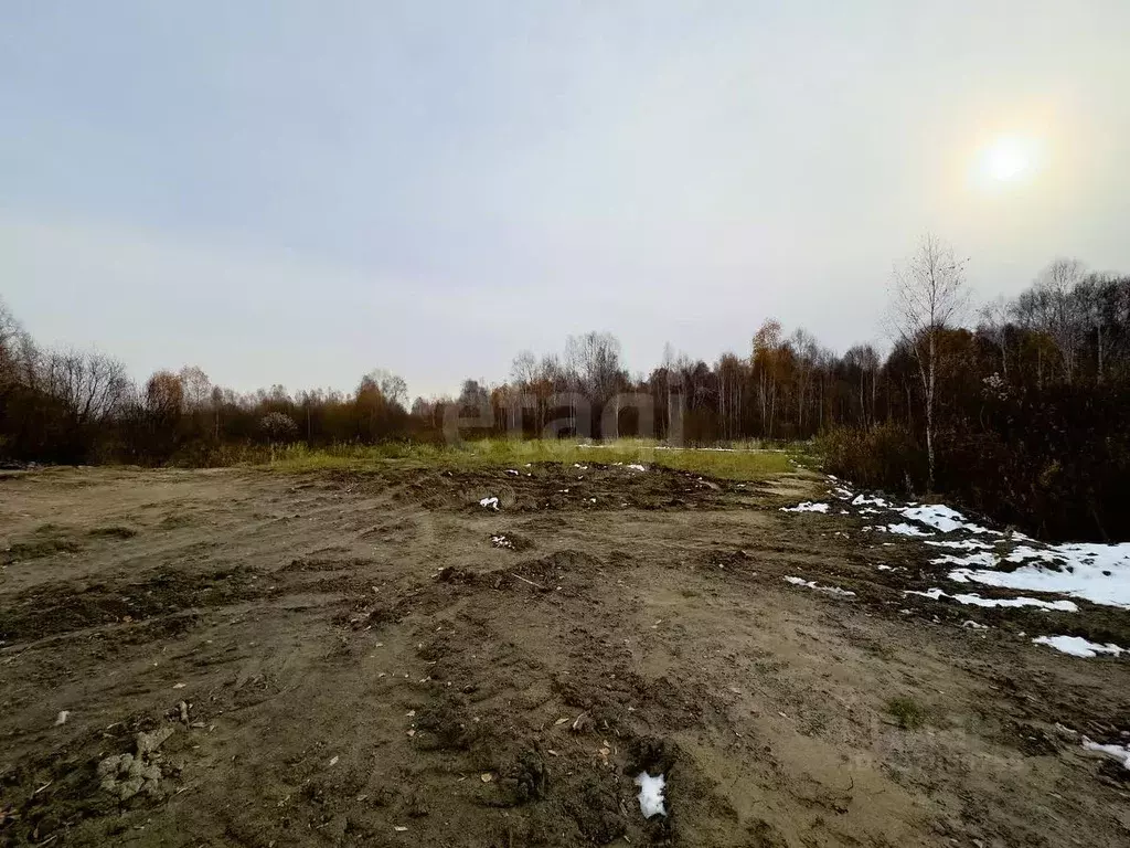 Участок в Тюменская область, Тюменский муниципальный округ, Винзили ... - Фото 1