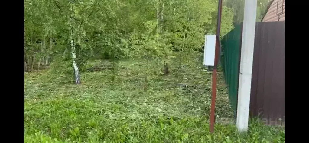 Участок в Московская область, Можайский муниципальный округ, Парус дп ... - Фото 2