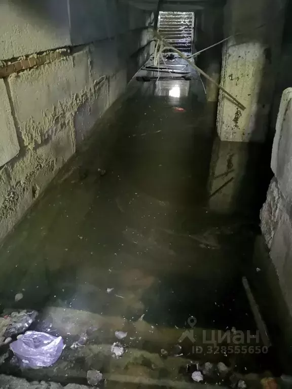 Помещение свободного назначения в Саратовская область, Саратов просп. ... - Фото 2