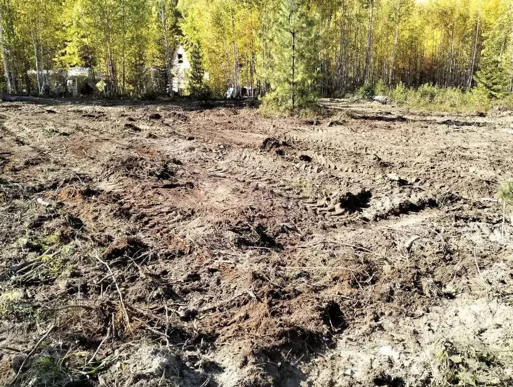 Участок в Ханты-Мансийский АО, Ханты-Мансийск Светлана СОТ,  (6.2 ... - Фото 1