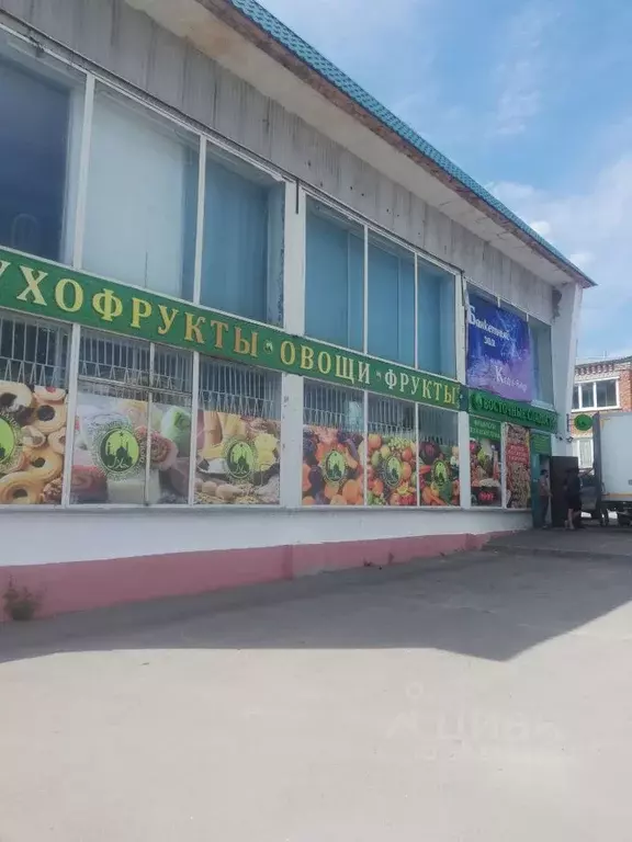 Помещение свободного назначения в Саратовская область, Базарный ... - Фото 2