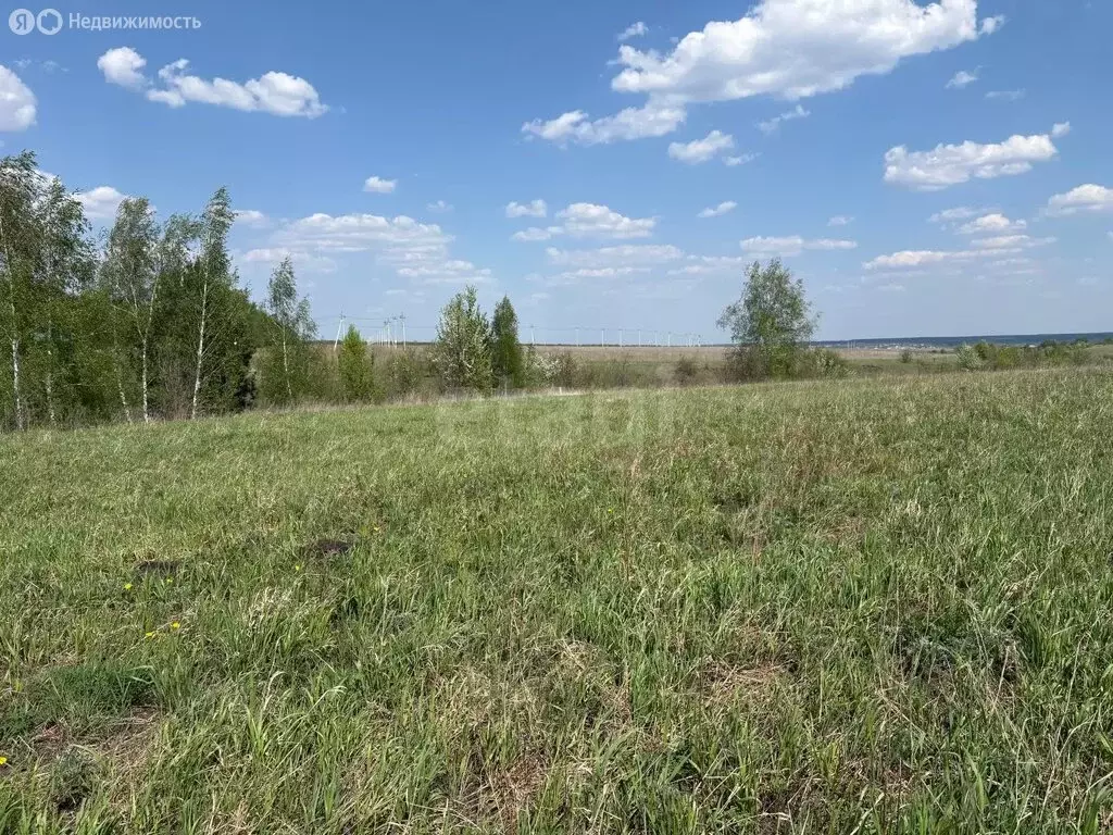 Участок в село Хвощеватка, Ореховая улица (668 м) - Фото 2