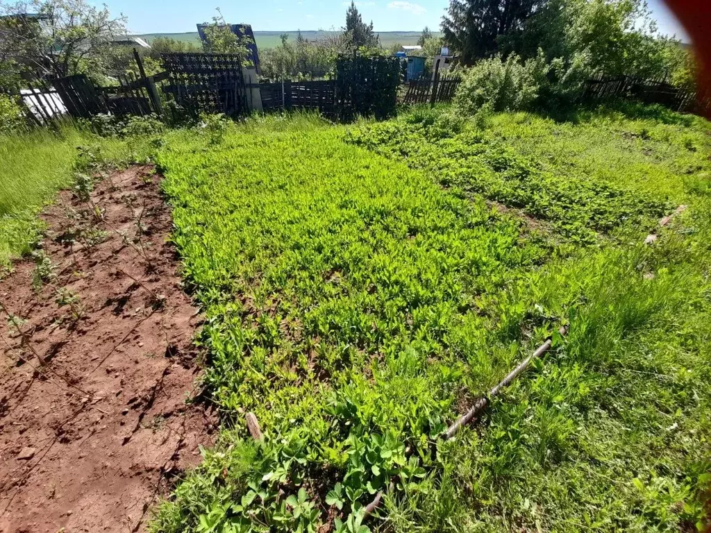 Дом в Оренбургская область, Сакмарский район, Татаро-Каргалинский ... - Фото 2