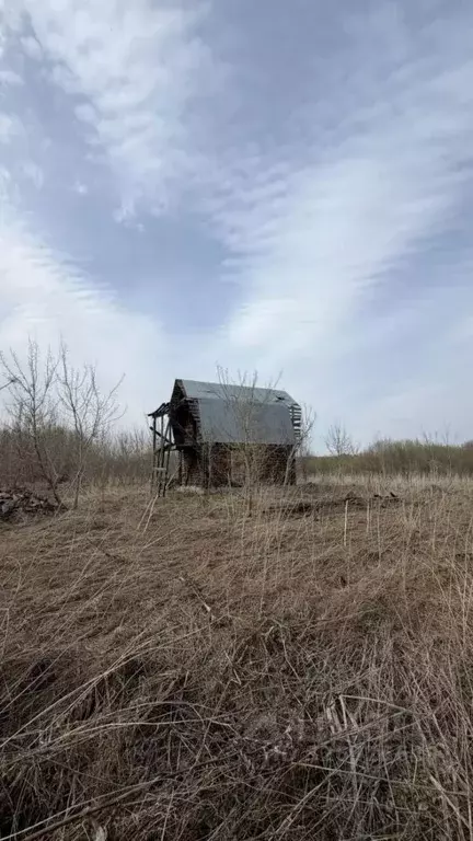 Участок в Алтайский край, Белокуриха Центральная ул., 6А (25.0 сот.) - Фото 1
