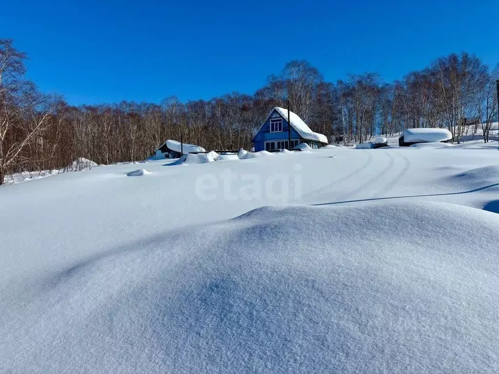 Участок в Камчатский край, Елизовский муниципальный округ, пос. ... - Фото 2