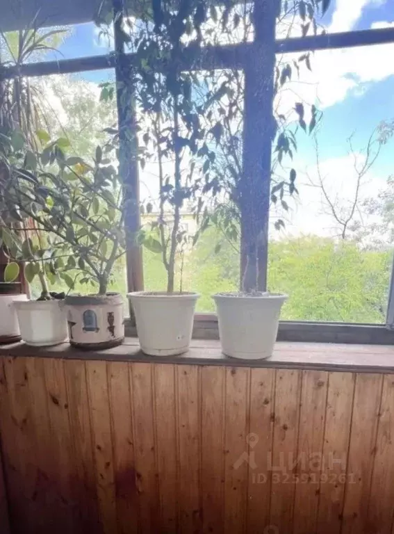 1-к кв. Москва Волгоградский просп., 169 (45.0 м) - Фото 2