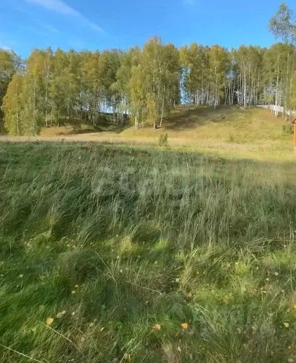 Участок в Костромская область, Красносельский муниципальный округ, ... - Фото 1