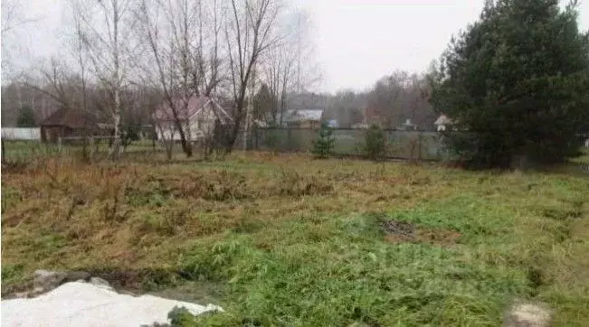 Участок в Московская область, Коломна городской округ, д. Реброво  ... - Фото 1