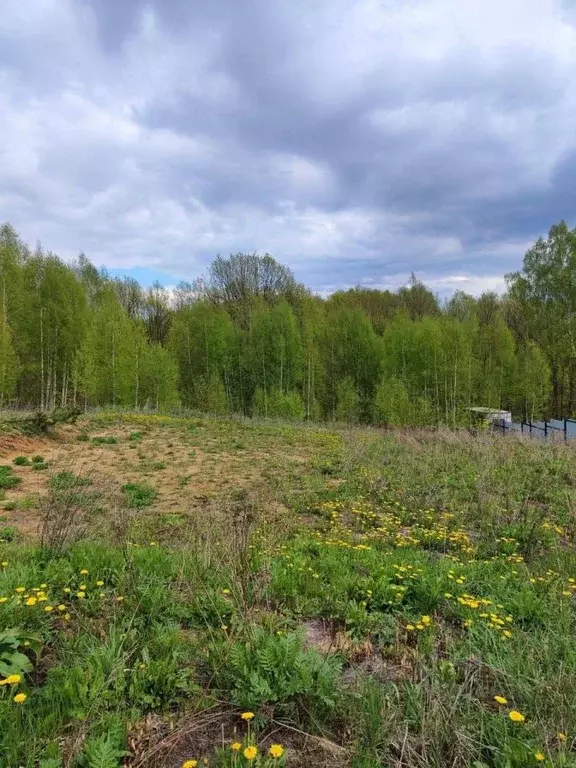 Участок в Нижегородская область, Богородский муниципальный округ, д. ... - Фото 0