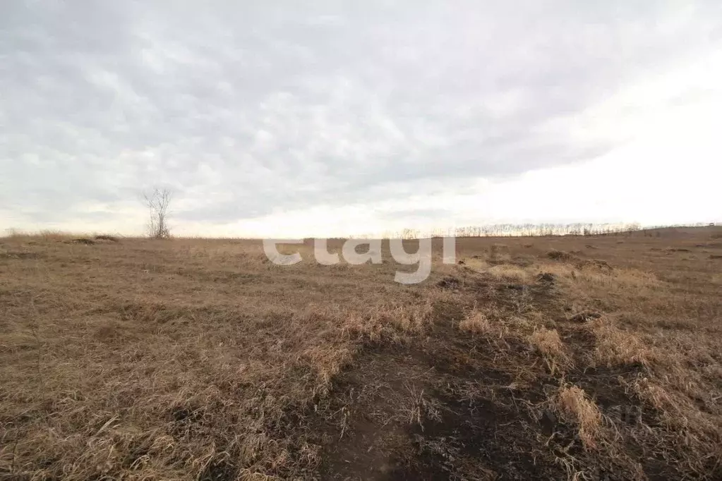 Участок в Красноярский край, Красноярск городской округ, пос. Солонцы  ... - Фото 0