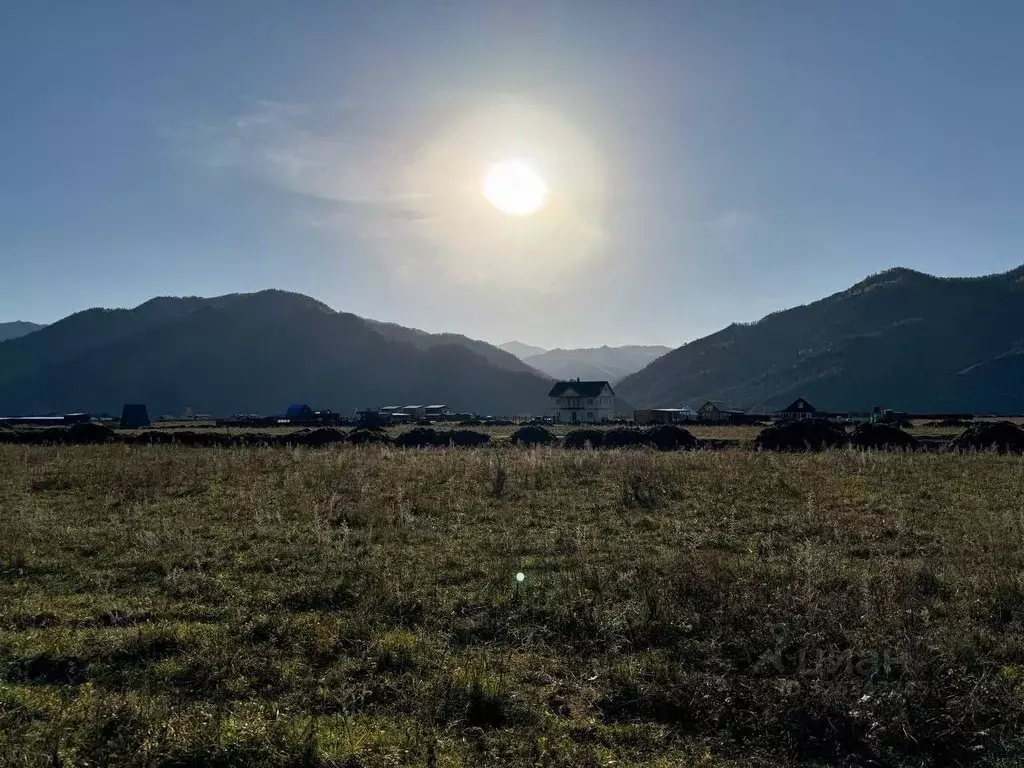 Участок в Алтай, Чемальский район, Элекмонарское с/пос, с. Элекмонар  ... - Фото 2