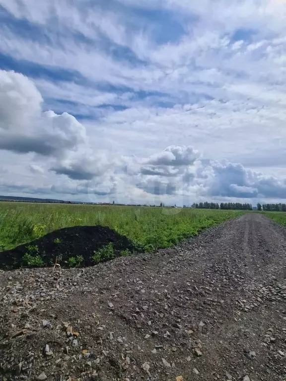 Участок в Мордовия, Лямбирский район, Берсеневское с/пос, Альтерра кп  ... - Фото 2