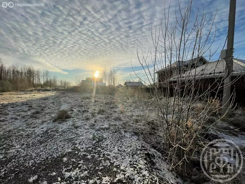 Участок в Петергоф, Ольгинское шоссе (15.55 м) - Фото 1