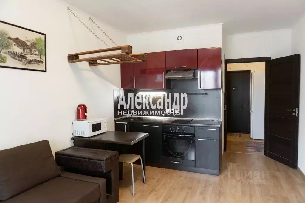 Студия Санкт-Петербург просп. Ветеранов, 169к2 (23.4 м) - Фото 2