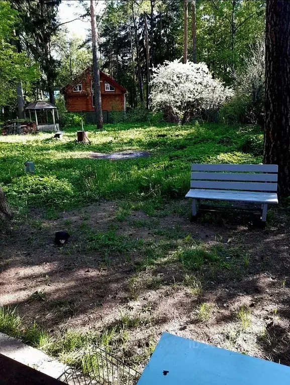 Дом в Московская область, Раменский муниципальный округ, Кратово дп ... - Фото 2