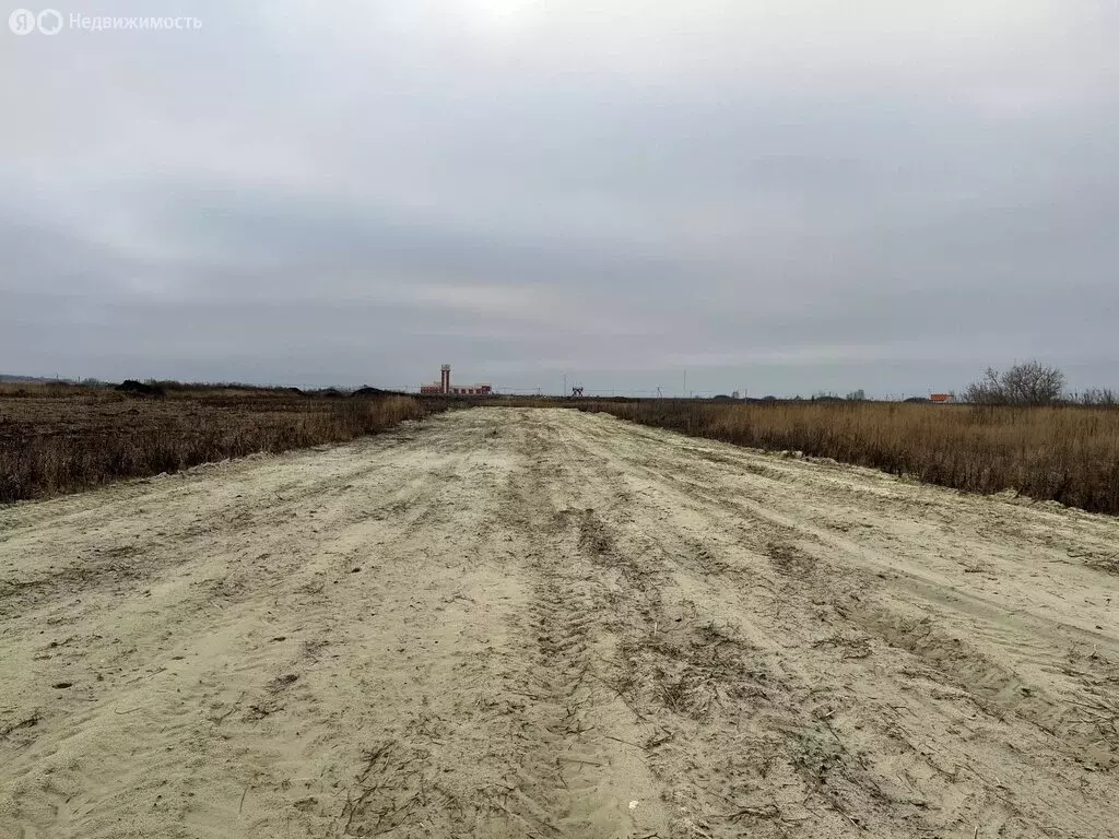 Участок в село Засечное, Центральная улица (91 м) - Фото 2