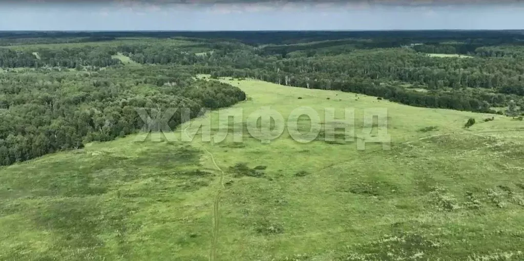 Участок в Новосибирская область, Мошковский район, с. Локти ... - Фото 2