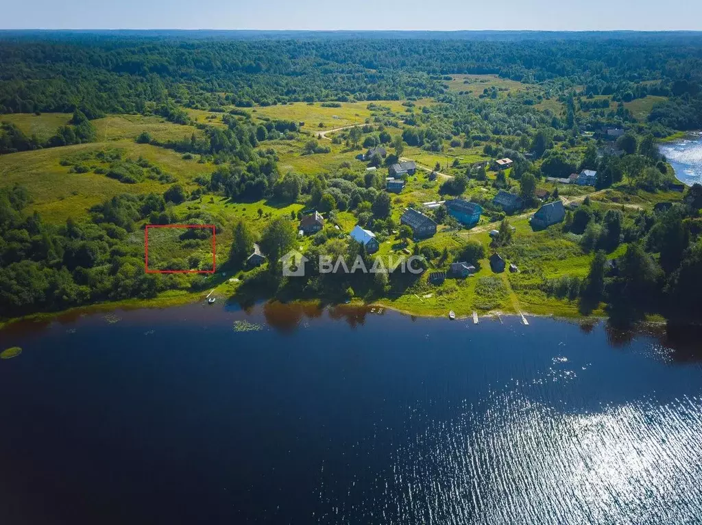 Участок в Карелия, Олонецкий район, Коткозерское с/пос, д. Гошкила  ... - Фото 2