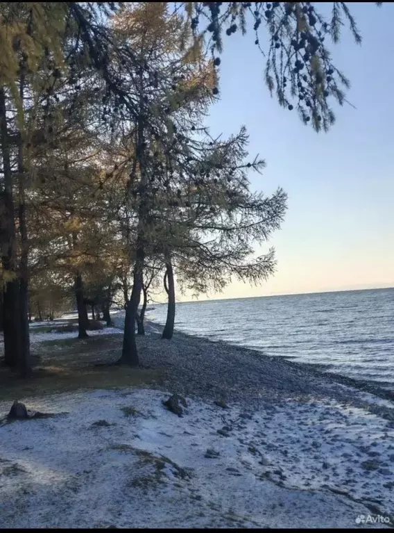 Участок в Бурятия, Кабанский район, с. Заречье  (319.0 сот.) - Фото 1