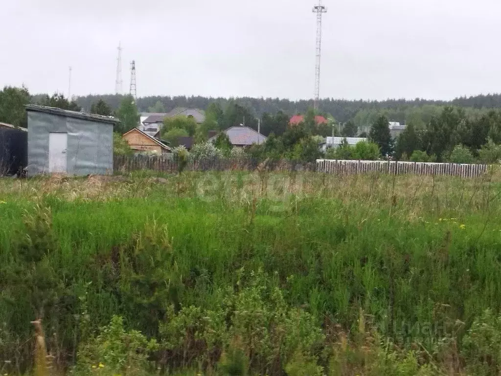 Участок в Свердловская область, Талица  (5.0 сот.) - Фото 1