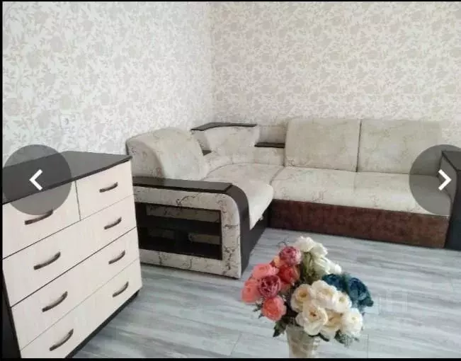 1-к кв. Челябинская область, Чебаркуль 9 Мая ул., 21 (42.0 м) - Фото 1