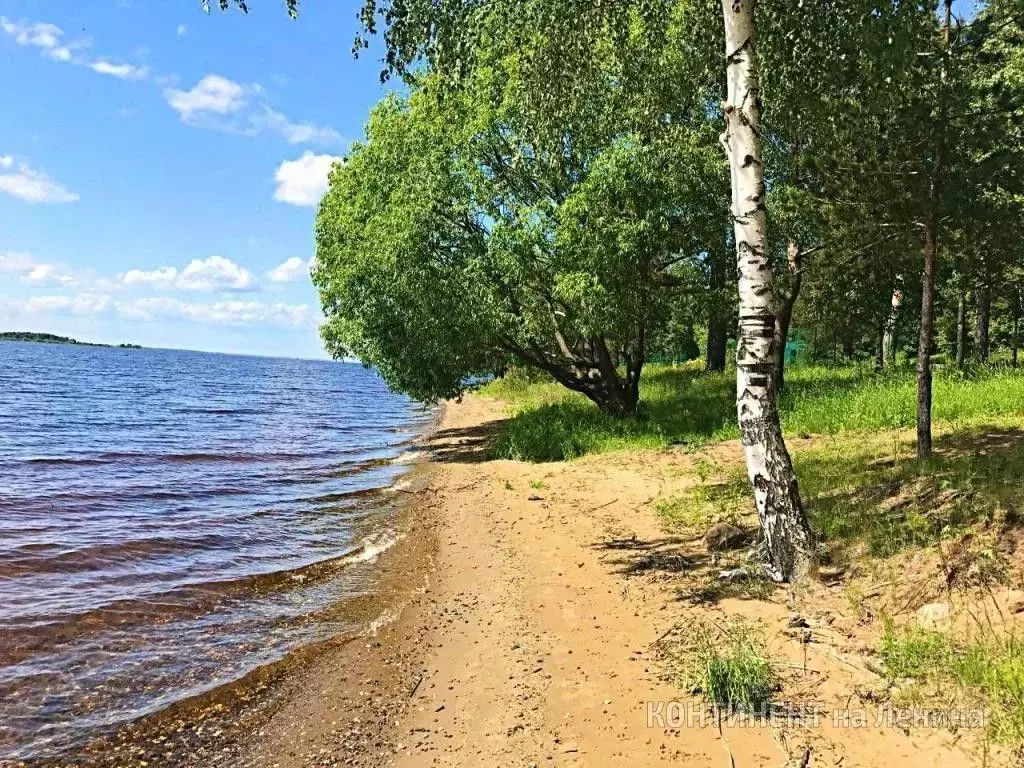 Участок в Ярославская область, Рыбинский муниципальный округ, с. ... - Фото 0