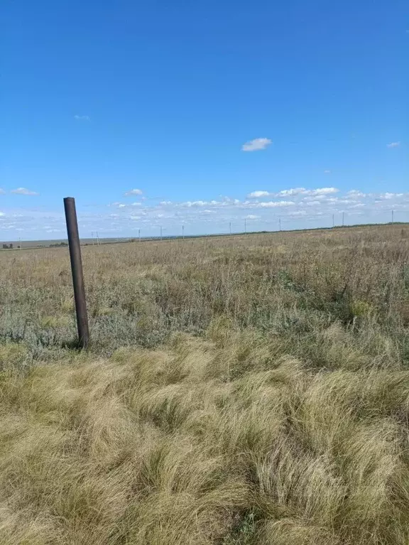 Участок в Оренбургская область, Оренбургский район, Пугачевский ... - Фото 2
