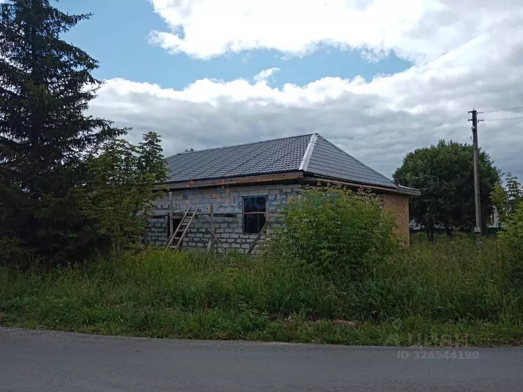 Дом в Нижегородская область, Богородский муниципальный округ, д. ... - Фото 1