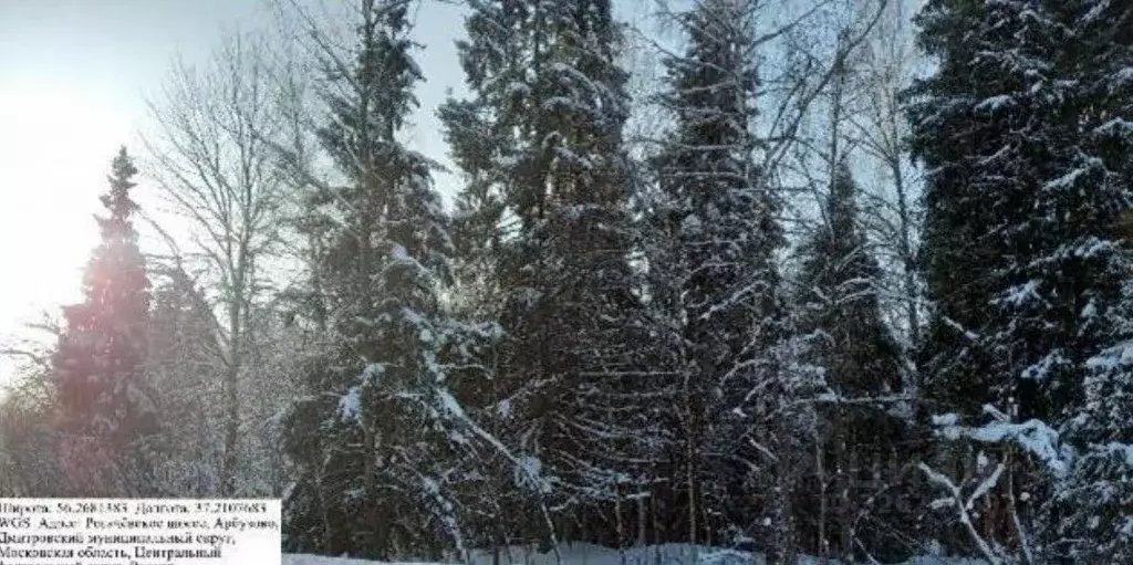 Участок в Московская область, Дмитровский муниципальный округ, д. ... - Фото 0