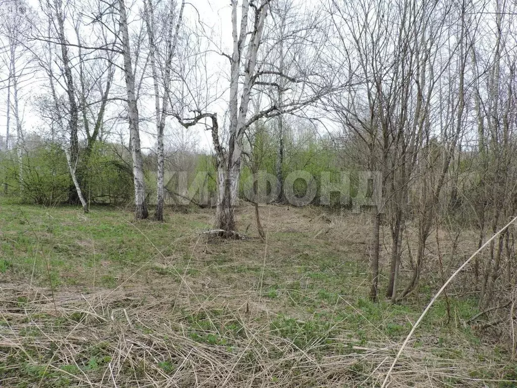 Участок в Мошковский район, ДТСН Долина Имений (113.9 м) - Фото 0