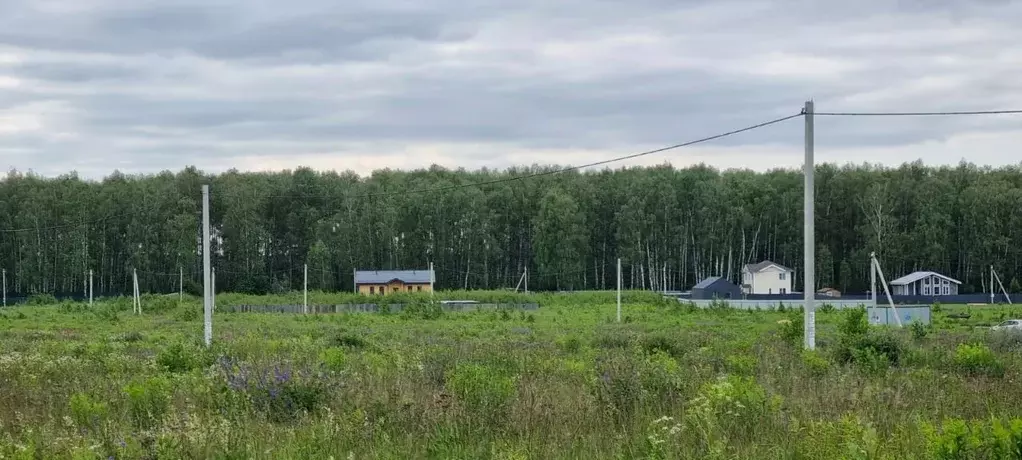 Участок в Московская область, Ступино городской округ, д. Ламоново, ... - Фото 0