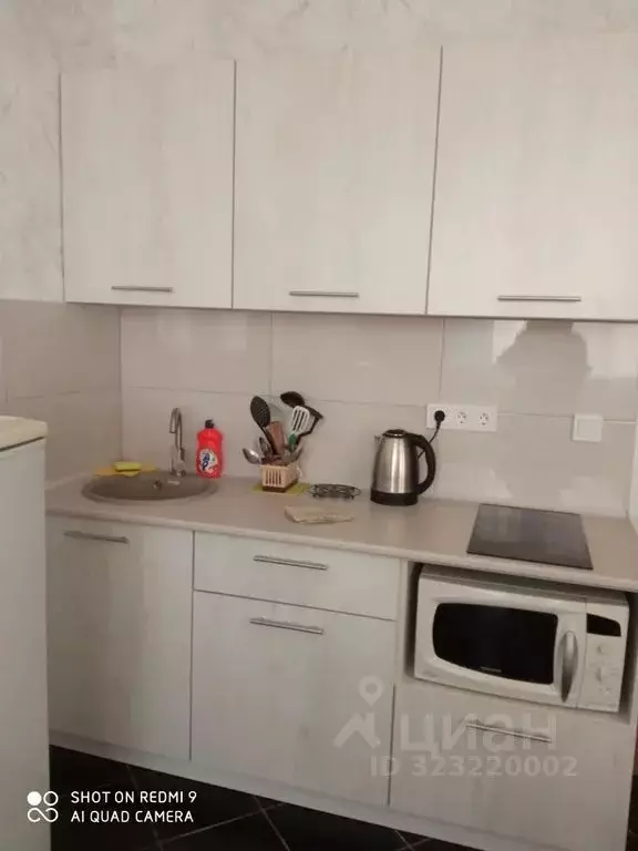 1-к кв. Алтайский край, Барнаул Северо-Западная ул., 23А (44.0 м) - Фото 1