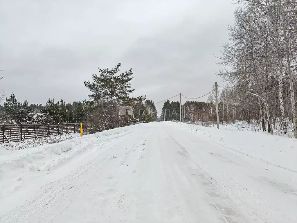 Участок в Новосибирская область, Новосибирский район, Кубовинский ... - Фото 1