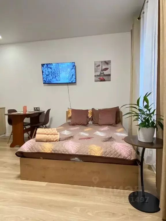 Студия Московская область, Балашиха ул. Реутовская, 29 (30.0 м) - Фото 2