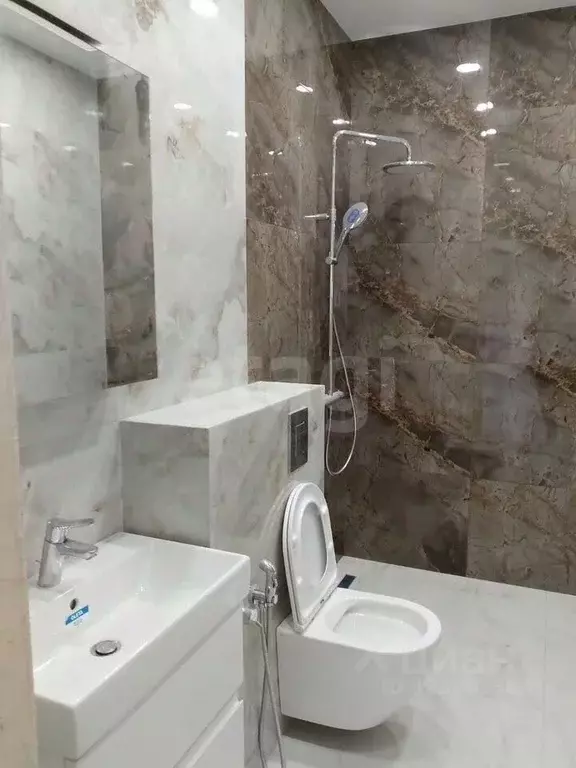 Дом в Омская область, Омский район, с. Пушкино ул. Ленина, 1 (188 м) - Фото 1