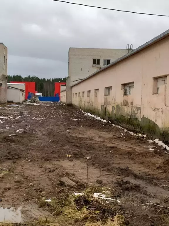 Производственное помещение в Ленинградская область, Гатчинский район, ... - Фото 1