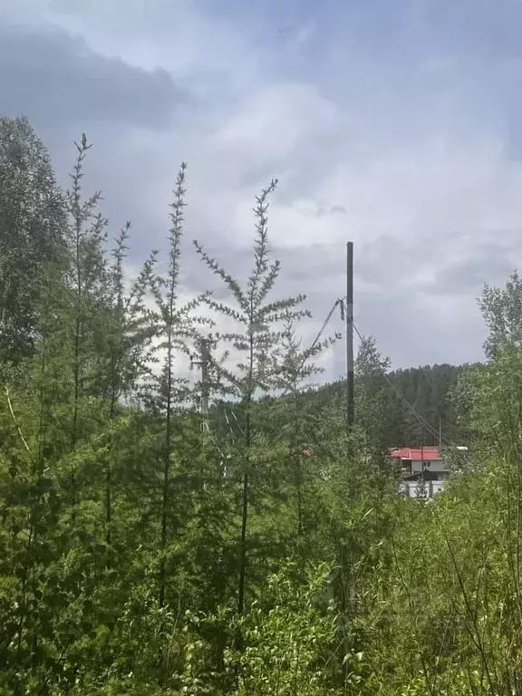 Участок в Забайкальский край, Читинский район, № 20 Никишиха СНТ 20 ... - Фото 1