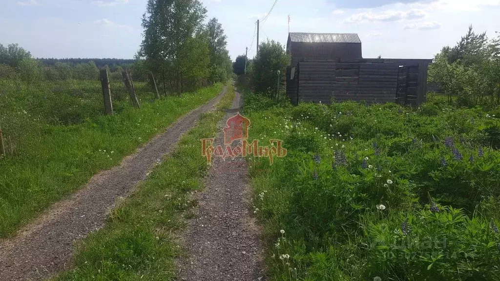 Участок в Владимирская область, Александровский район, Каринское ... - Фото 1