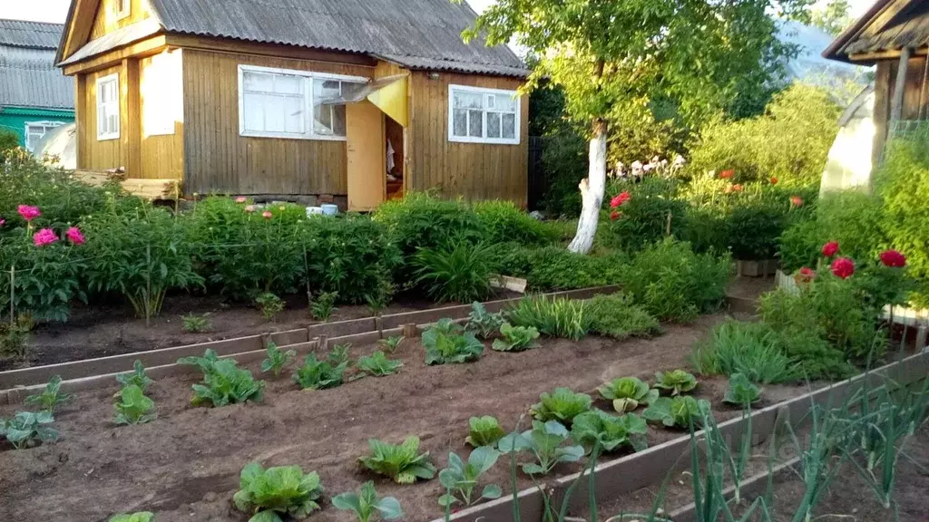 Дом в Удмуртия, Ижевск Юбилейный СТ, 186 (50 м) - Фото 1