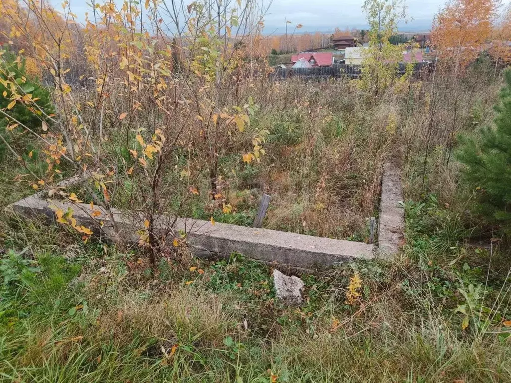 Участок в Красноярский край, Сосновоборский муниципальный округ, с. ... - Фото 1