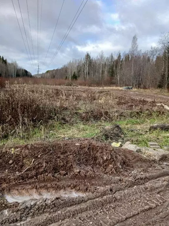 Участок в Пермский край, Пермский муниципальный округ, д. Дикая Гарь ... - Фото 2