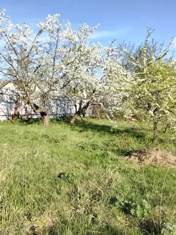 Участок в Московская область, Люберцы городской округ, д. Михнево ул. ... - Фото 1