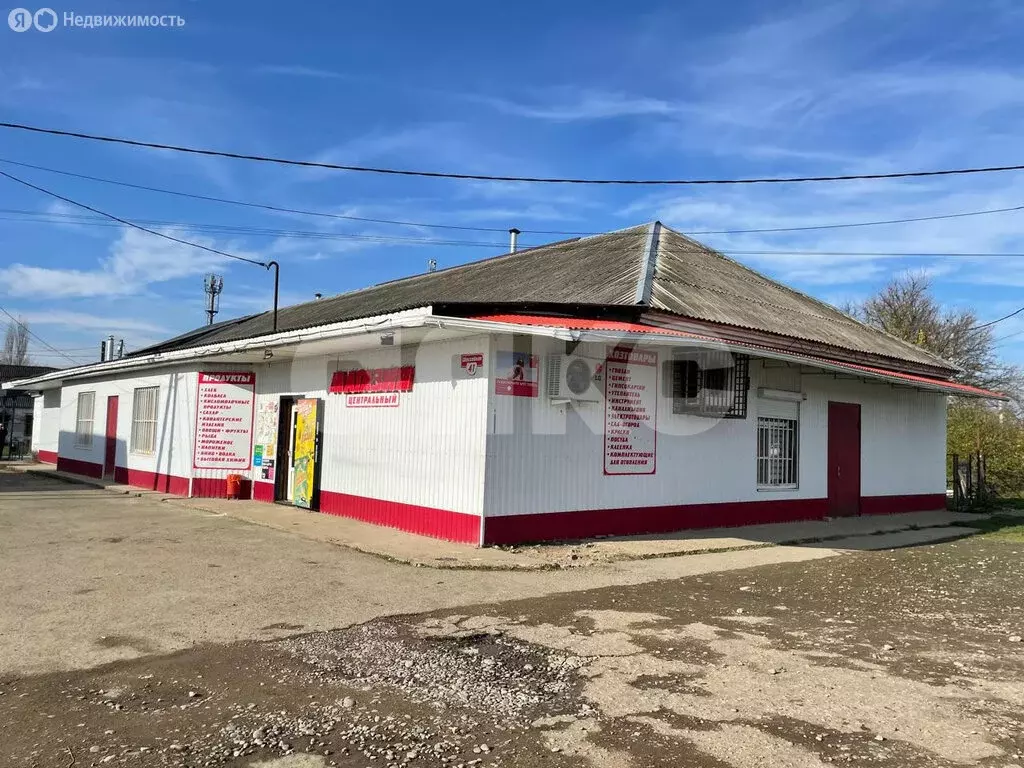 Торговая площадь (124.2 м) - Фото 2