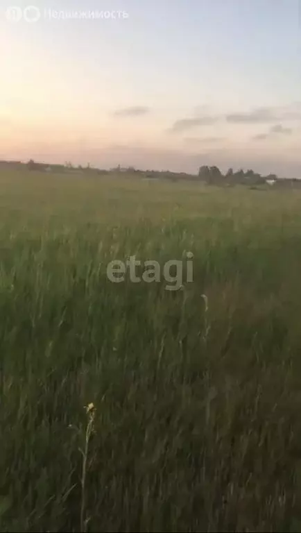 Участок в Калининградская область, Зеленоградский муниципальный округ, ... - Фото 0
