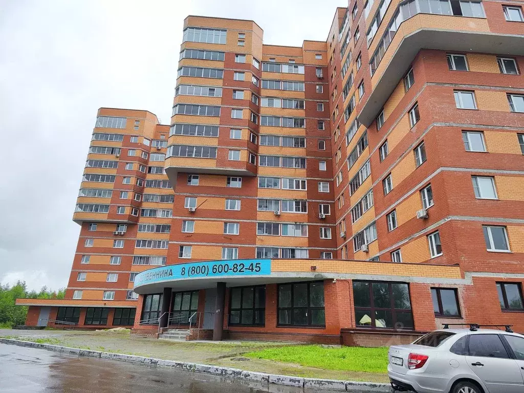 Помещение свободного назначения в Московская область, Электрогорск ... - Фото 1
