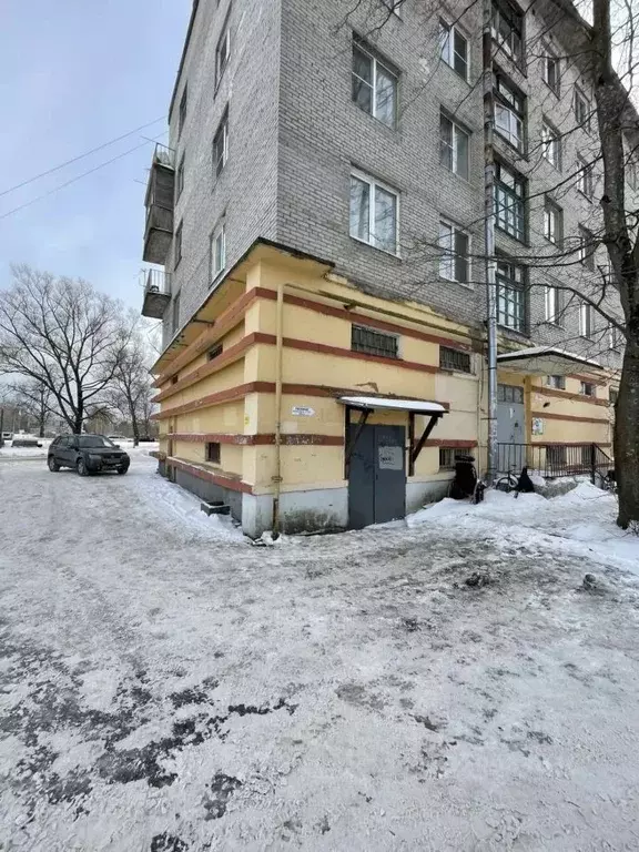 Помещение свободного назначения в Ленинградская область, Никольское ... - Фото 1