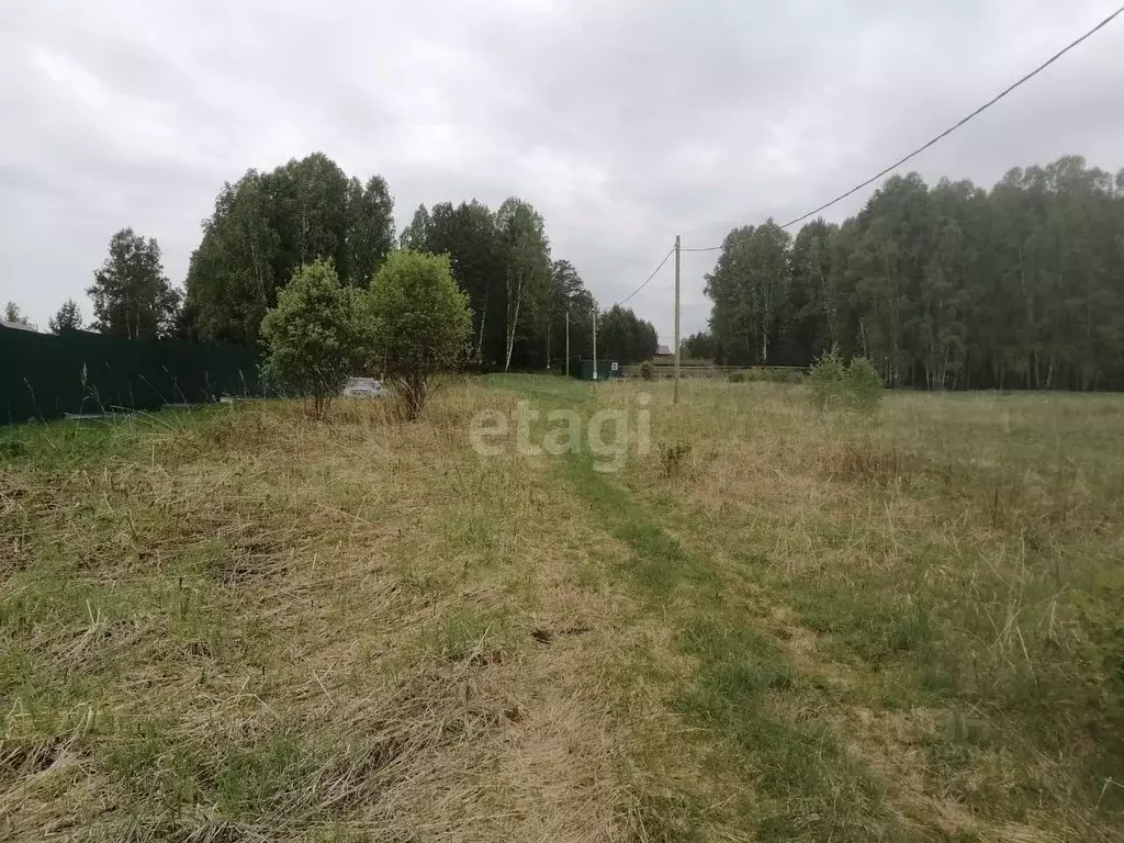 Участок в Красноярский край, Емельяновский муниципальный округ, д. ... - Фото 1